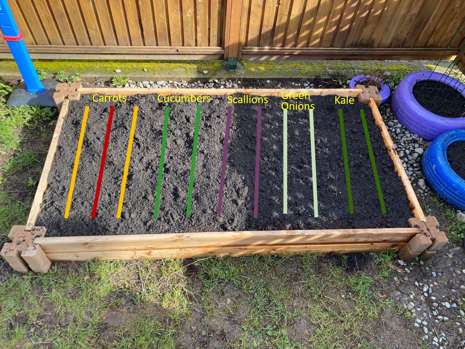 Raised garden bed with lines showing where certain vegetables will be planted